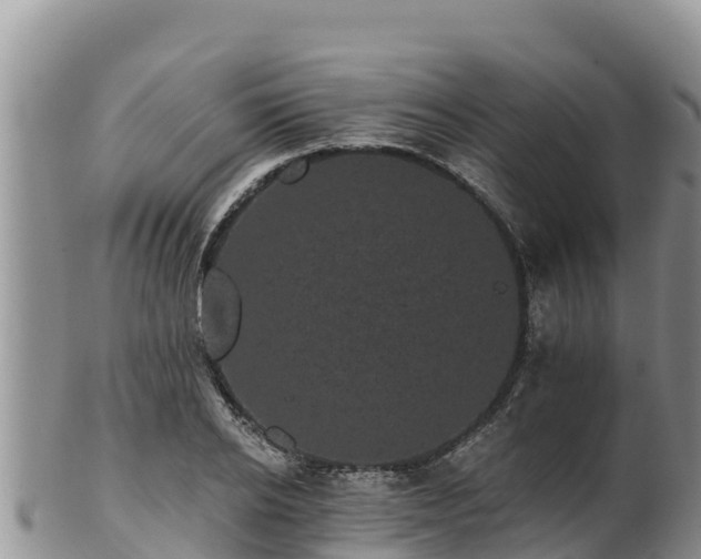 X0000102240934200808011245