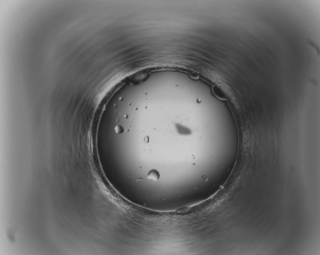 X0000102240936200808011245