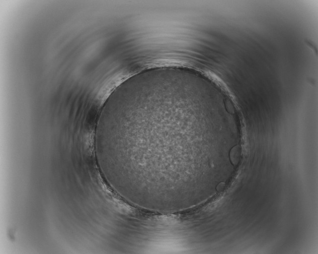 X0000102240937200808011245