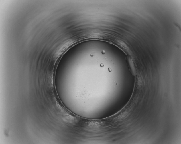 X0000102240938200808011245