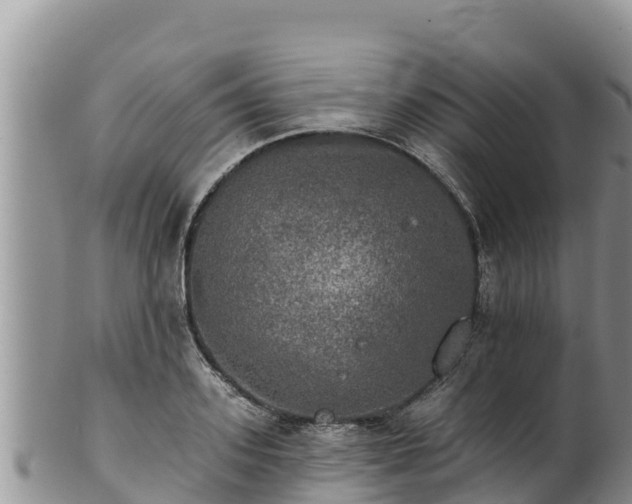 X0000102240939200808011245