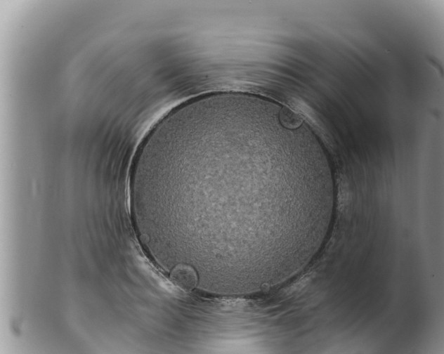 X0000102240940200808011245