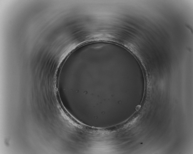 X0000102240941200808011245