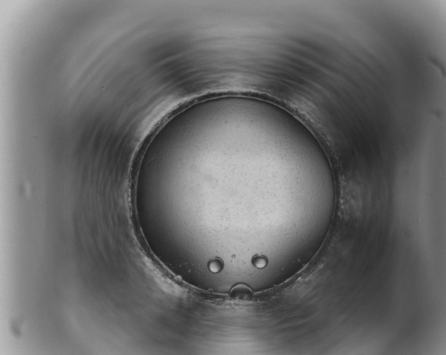 X0000102240942200808011245