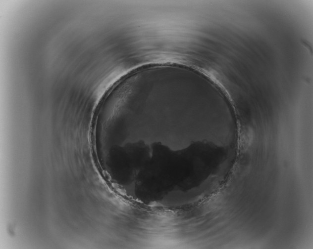 X0000102240943200808011245