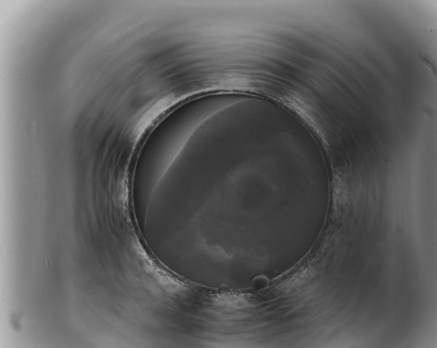 X0000102240944200808011245