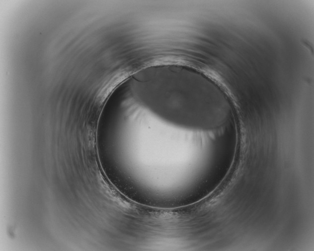 X0000102240945200808011245