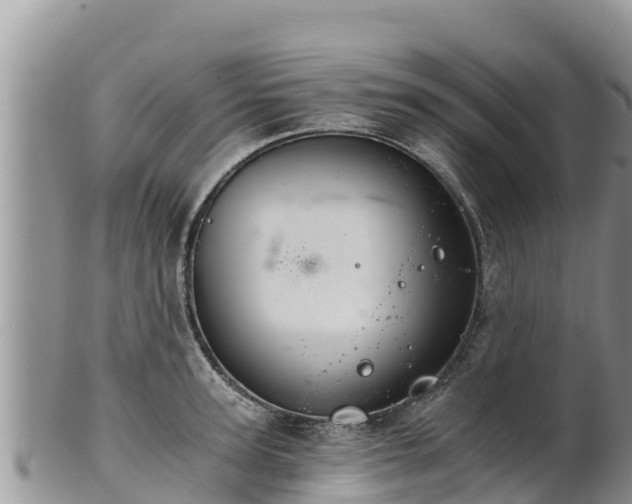 X0000102240947200808011245