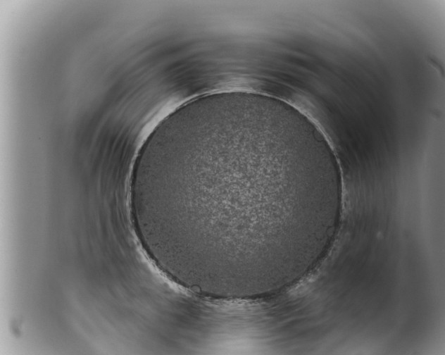 X0000102240949200808011245