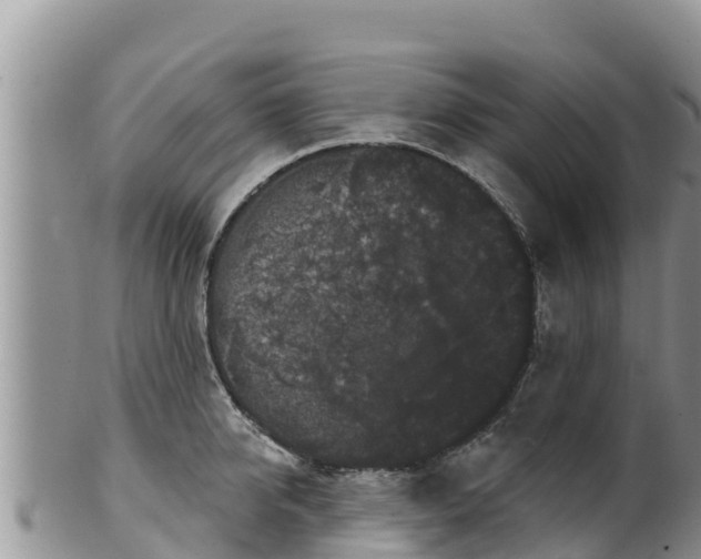 X0000102240950200808011245