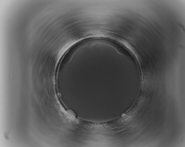 X0000102240951200808011245