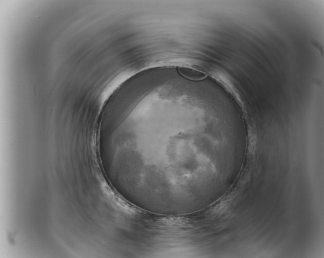 X0000102240952200808011245