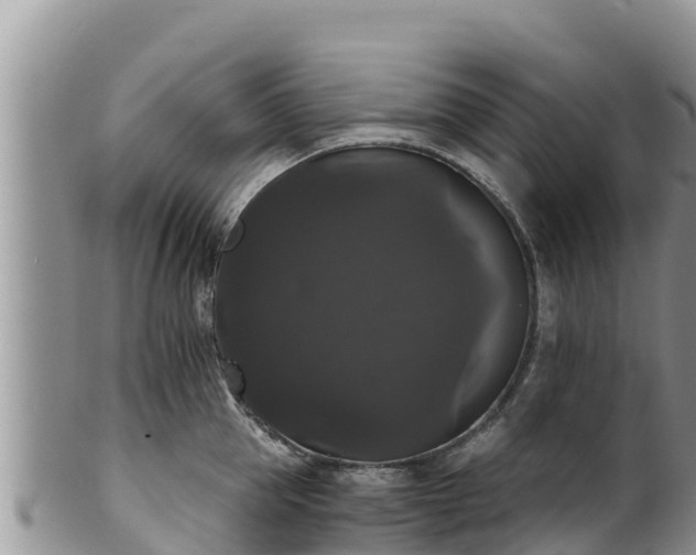 X0000102240953200808011245