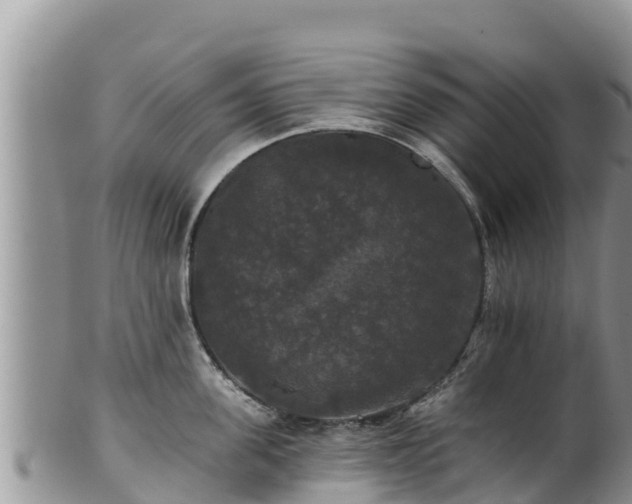 X0000102240955200808011245