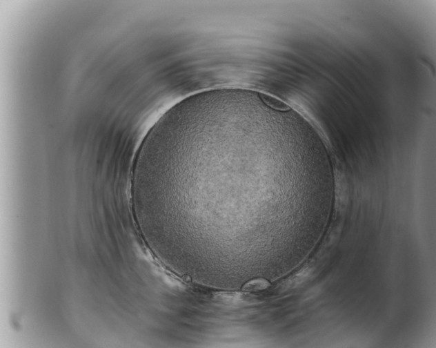 X0000102240956200808011245