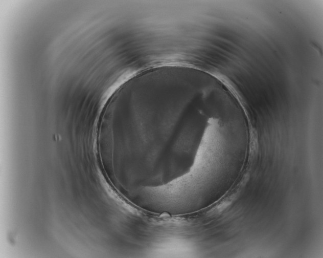 X0000102240957200808011245