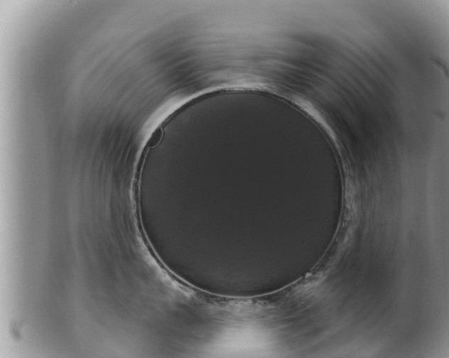 X0000102240959200808011245