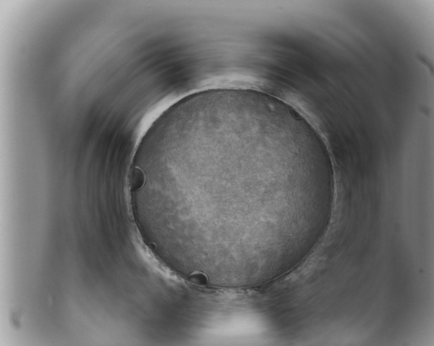 X0000102240960200808011245