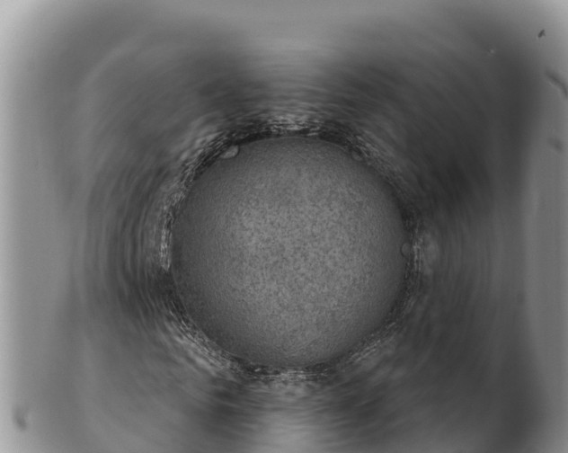 X0000102240961200808011244