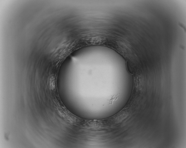 X0000102240962200808011244