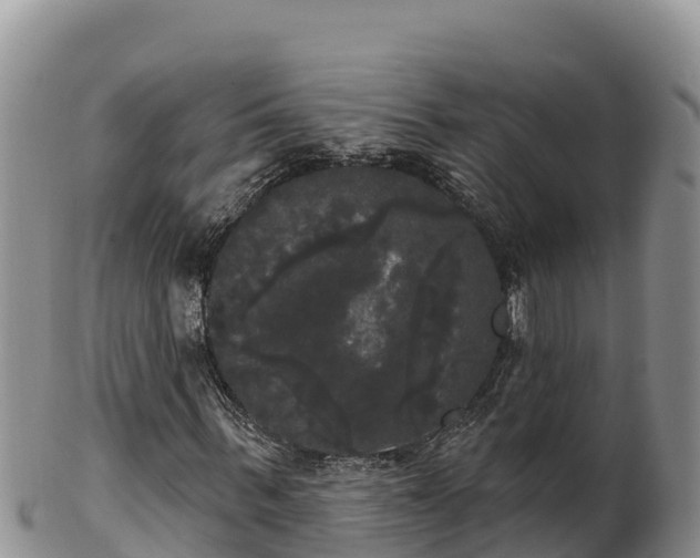 X0000102240963200808011244