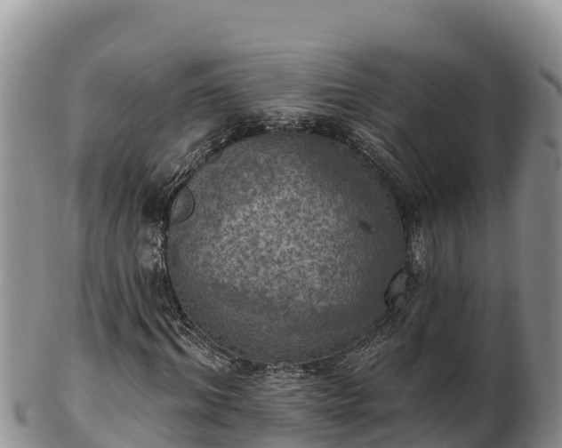 X0000102240964200808011244