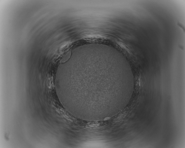 X0000102240965200808011244