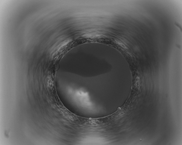 X0000102240966200808011244