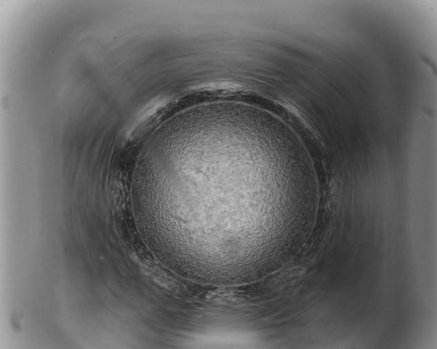 X0000102240967200808011244