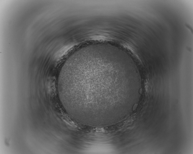 X0000102240968200808011244