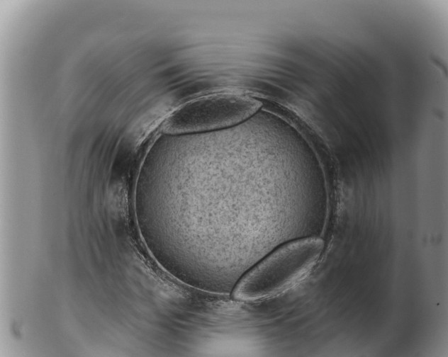 X0000102240969200808011244