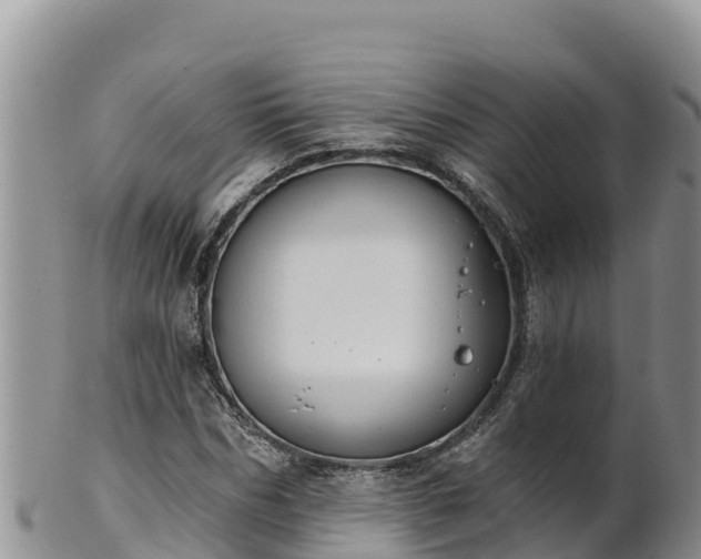 X0000102240970200808011244