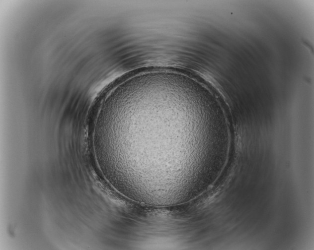 X0000102240971200808011244