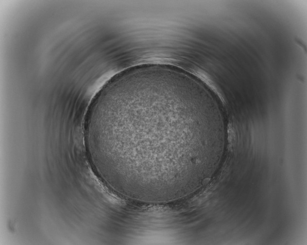 X0000102240972200808011244