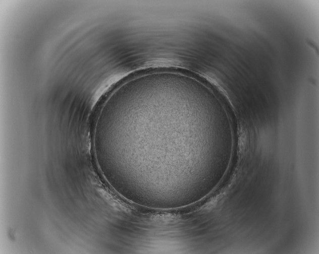 X0000102240973200808011244