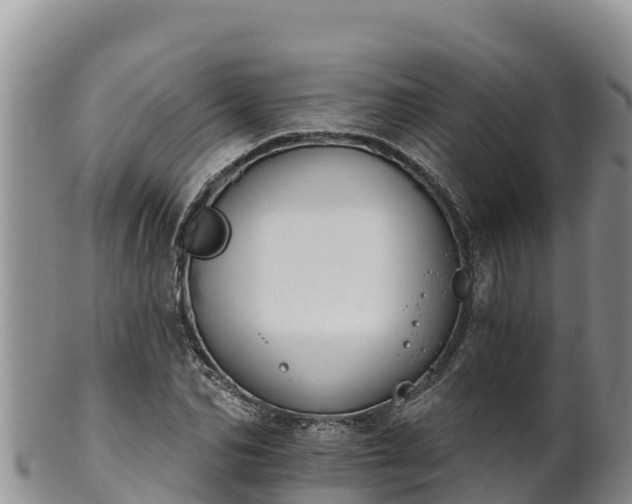 X0000102240974200808011244