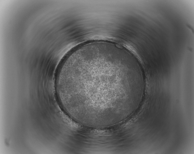 X0000102240976200808011244