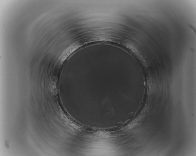 X0000102240977200808011244