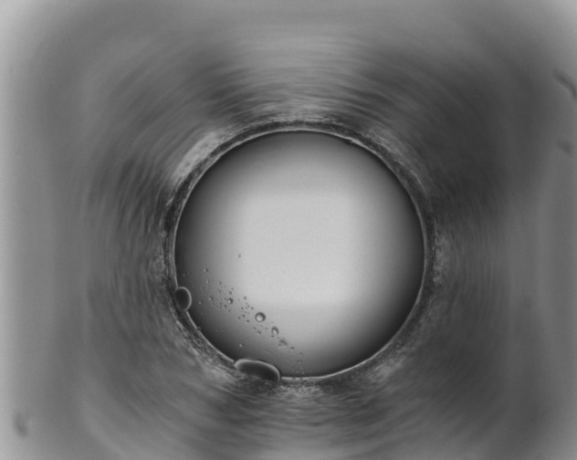 X0000102240978200808011244