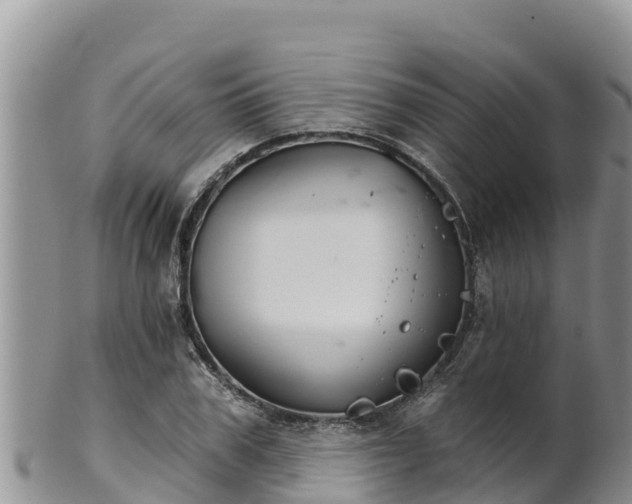 X0000102240979200808011244