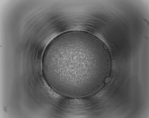 X0000102240980200808011244