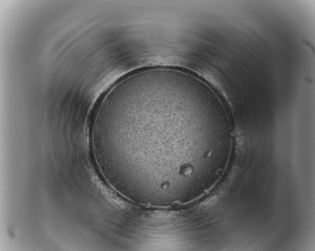 X0000102240981200808011244