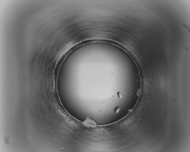 X0000102240982200808011244