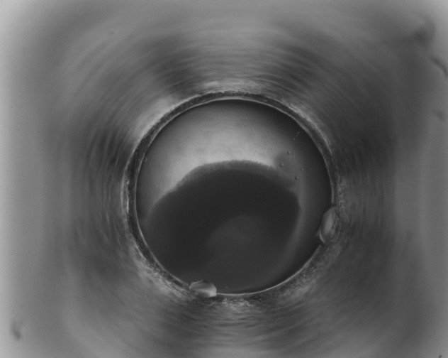 X0000102240983200808011244