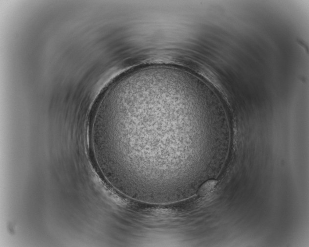 X0000102240984200808011244