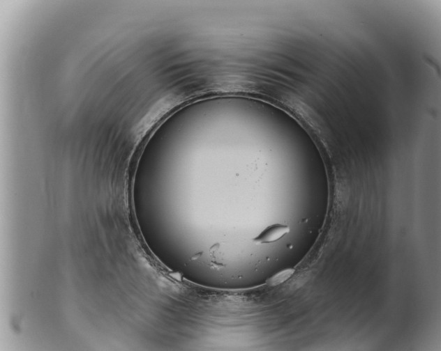 X0000102240986200808011244