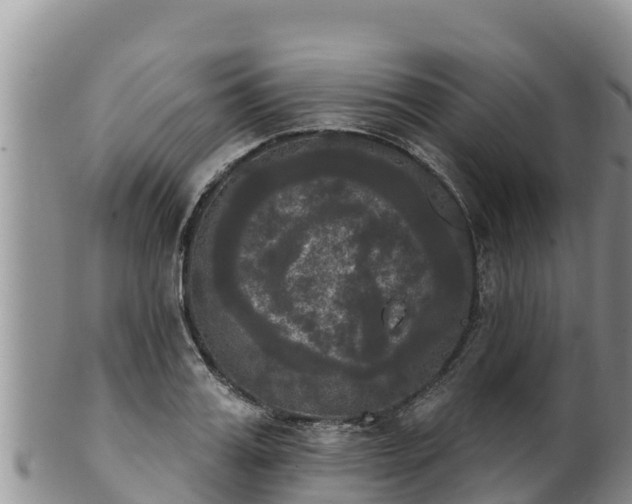 X0000102240987200808011244