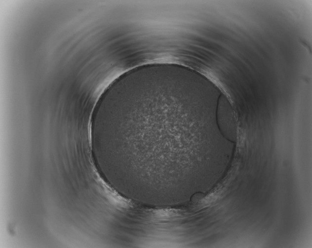 X0000102240988200808011244