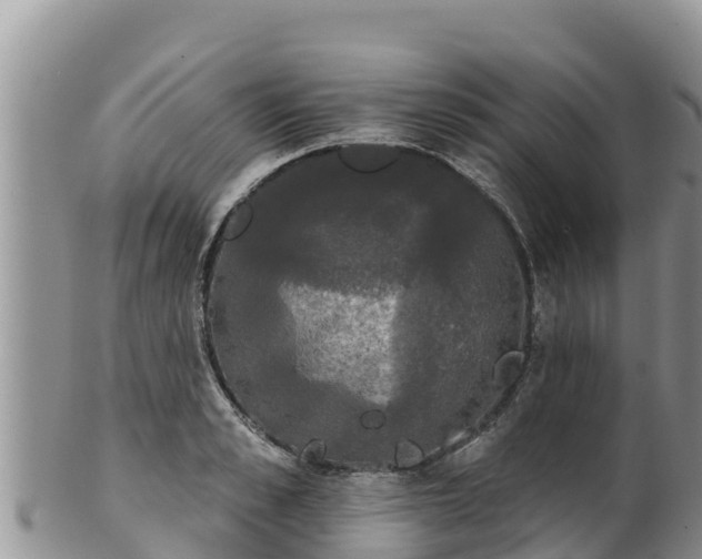 X0000102240989200808011244