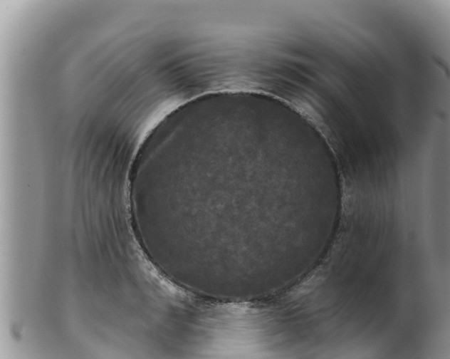 X0000102240990200808011244